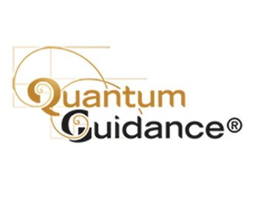 Quantum Guidance