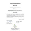 Pathologie des troubles nerveux