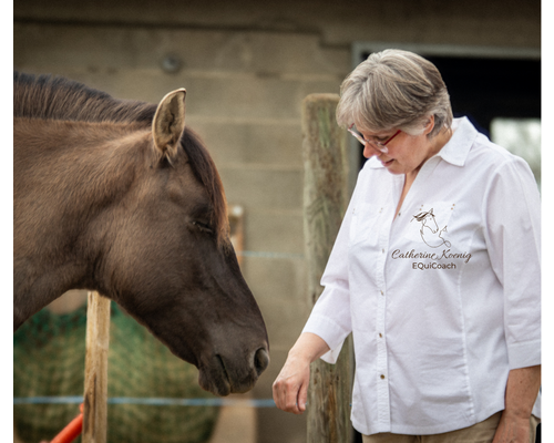 Dans le troupeau il y a aussi une ponette, plus abordable pour les personnes impressionnées par les chevaux.