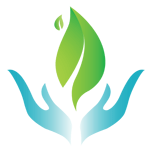 Détoxiquer grâce à la chlorella