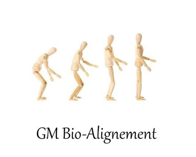 Logo de GM BIO ALIGNEMENT