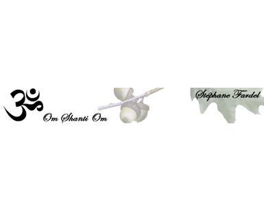 Logo de Salon "Santé & Bien-Etre" de Martigny