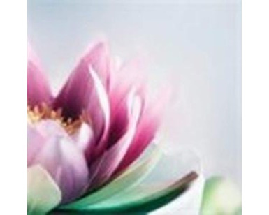 Logo de Bulle2zenitude