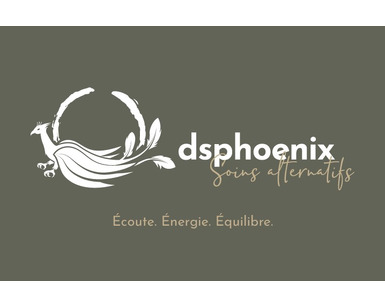 Logo de dsphoenix