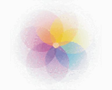 Logo de Cabinet de Naturopathie