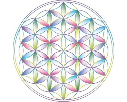 Kinefleurdevie Thérapeute kinésiologie, Thérapeute complémentaire avec certificat de branche OrTra TC