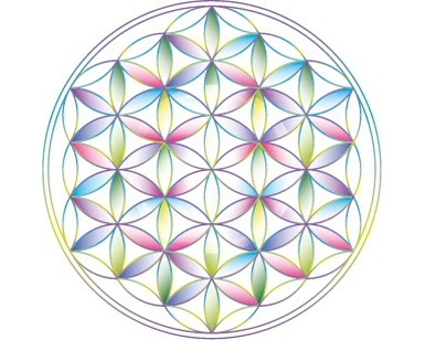 Logo de Kinefleurdevie Thérapeute kinésiologie, Thérapeute complémentaire avec certificat de branche OrTra TC